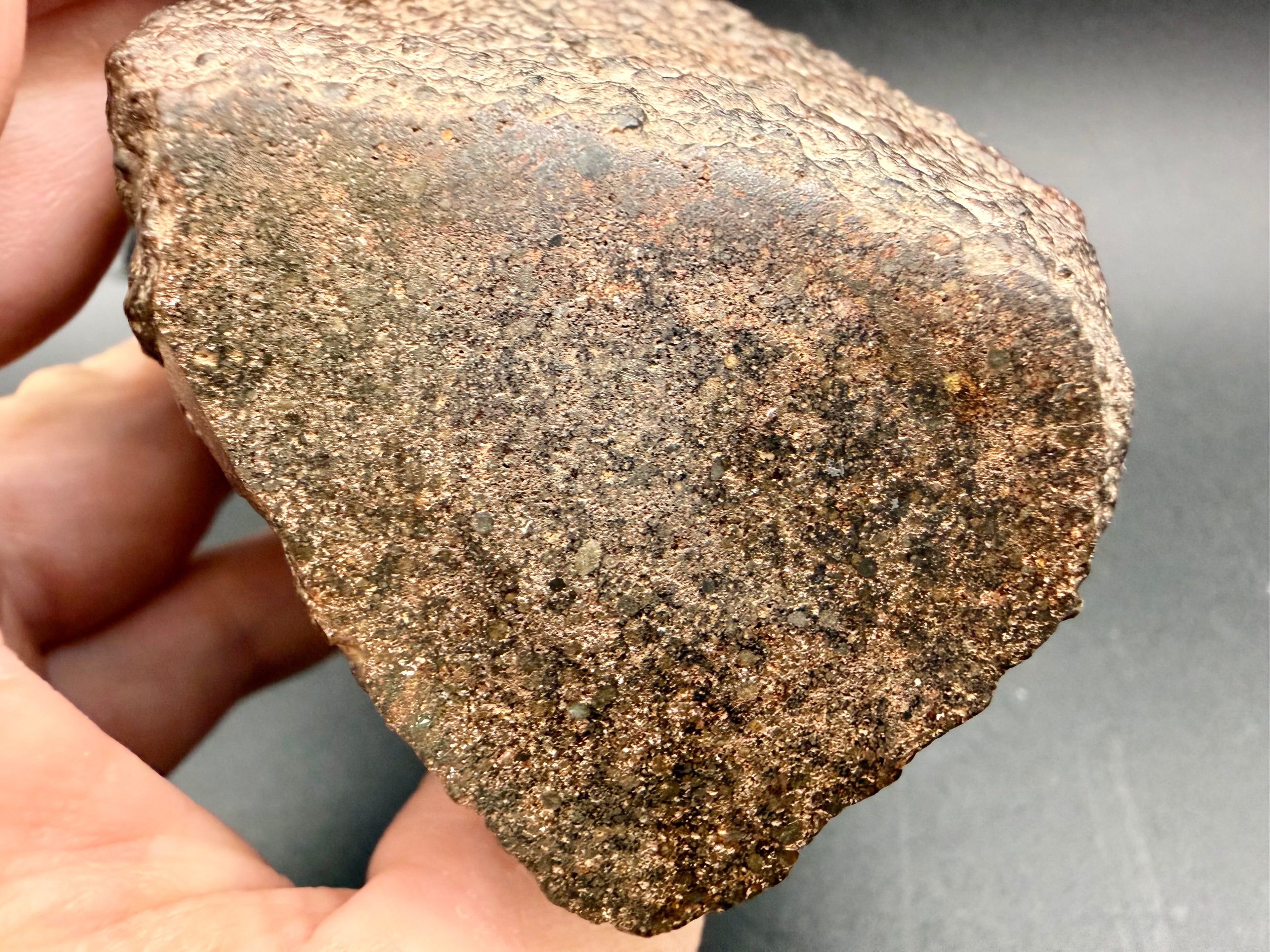 Handheld view of the NWA 18118 classification cut face