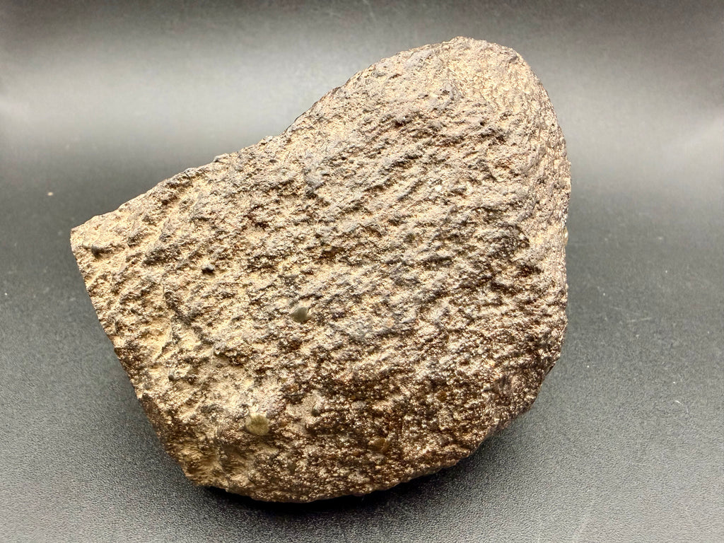NWA 18118 weathered fusion crust and contoured heel on the oriented stone