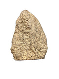 NWA 18118 oriented H5 ordinary chondrite, 644g main mass individual on a white background