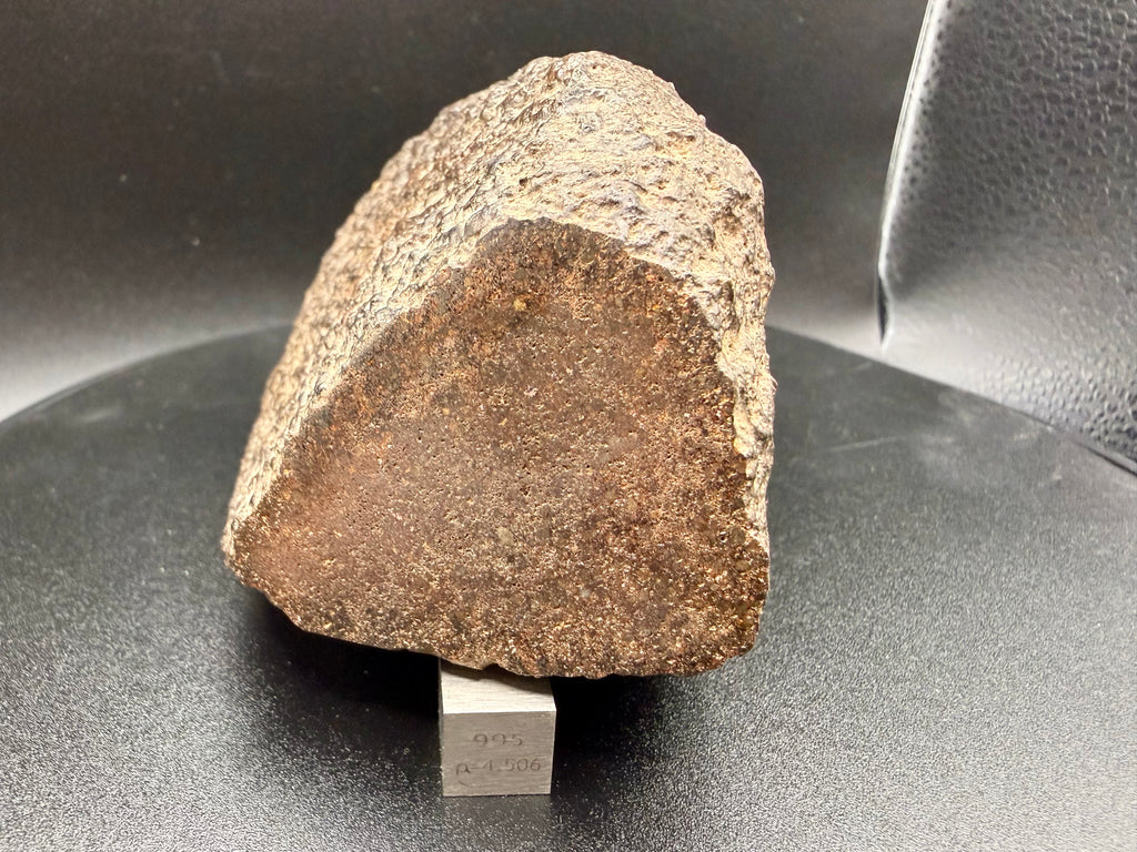 NWA 18118 H5 chondrite classification window showing the fresh interior