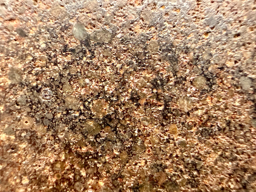 Macro of NWA 18118 interior showing free metal and chondrules in a tan to gray matrix