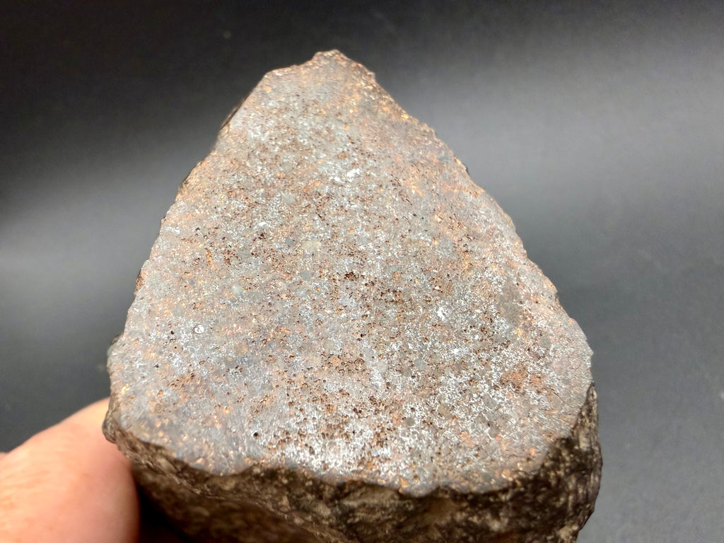 Cut face of NWA 18118 with metal grains visible as bright flecks