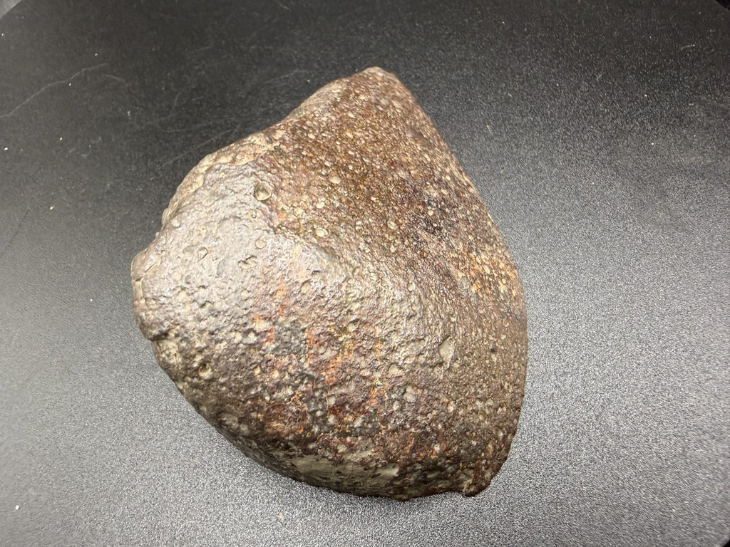 exterior-side-view: Side view of NWA 18205 H3 chondrite endcut showing the exterior