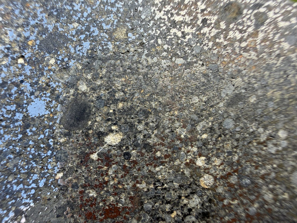 metal-and-chondrule-detail: Close view of NWA 18205 H3 chondrite showing chondrules and FeNi metal on the cut face