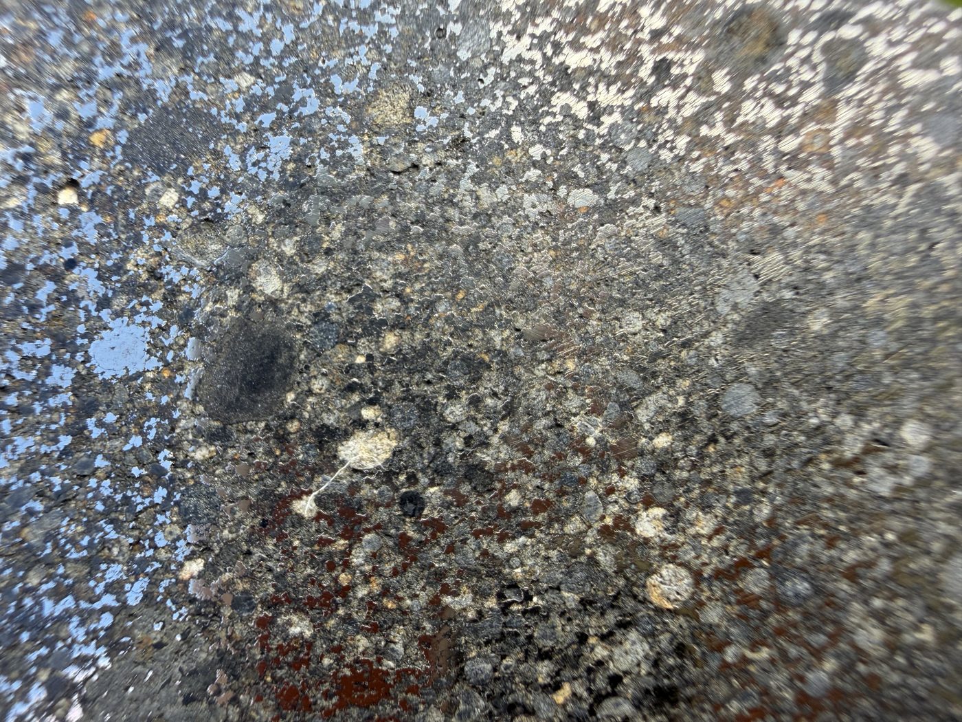 metal-and-chondrule-detail: Close view of NWA 18205 H3 chondrite showing chondrules and FeNi metal on the cut face
