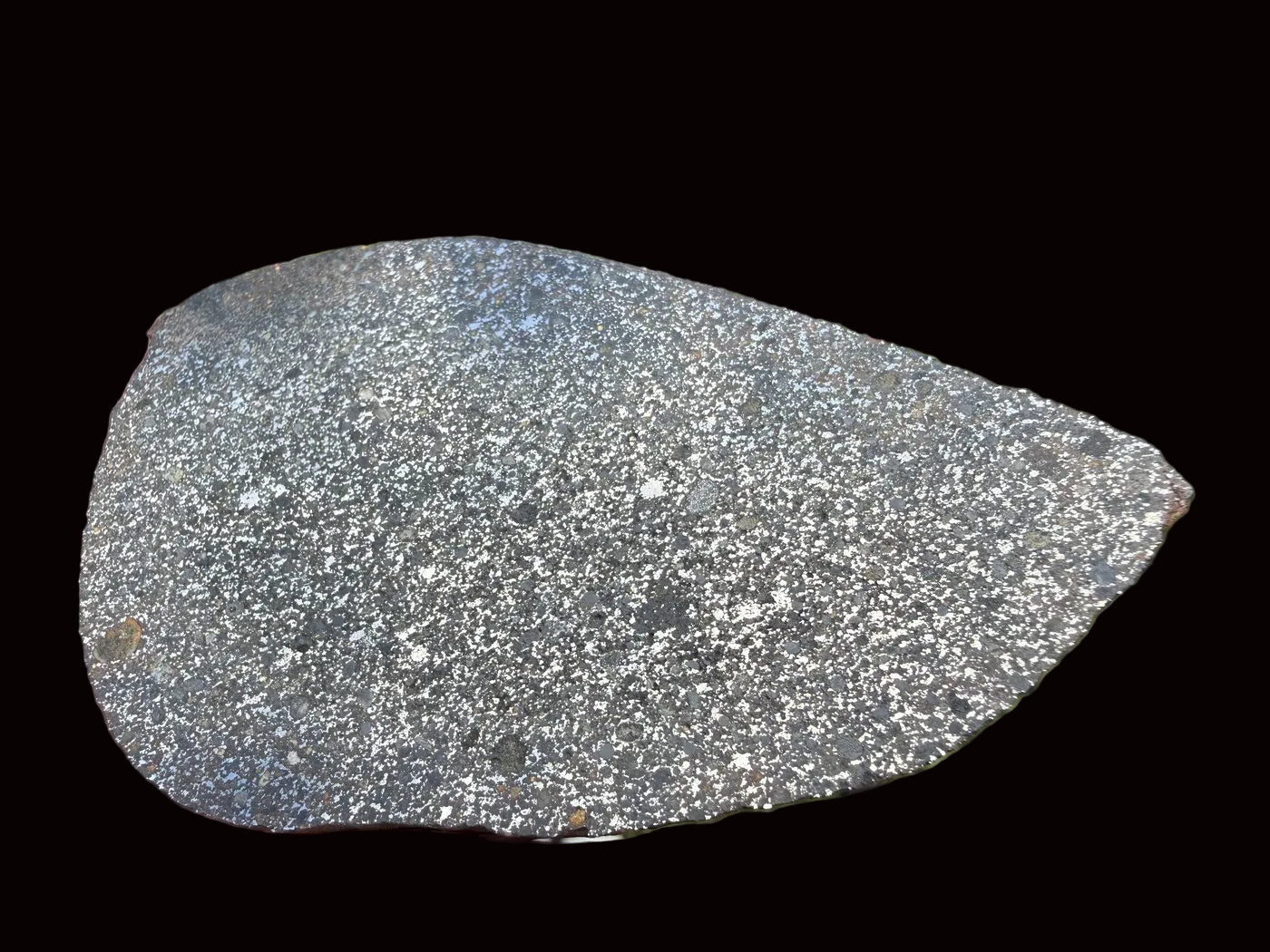 polished-face-daylight: Polished face of NWA 18205 H3 ordinary chondrite endcut in natural light