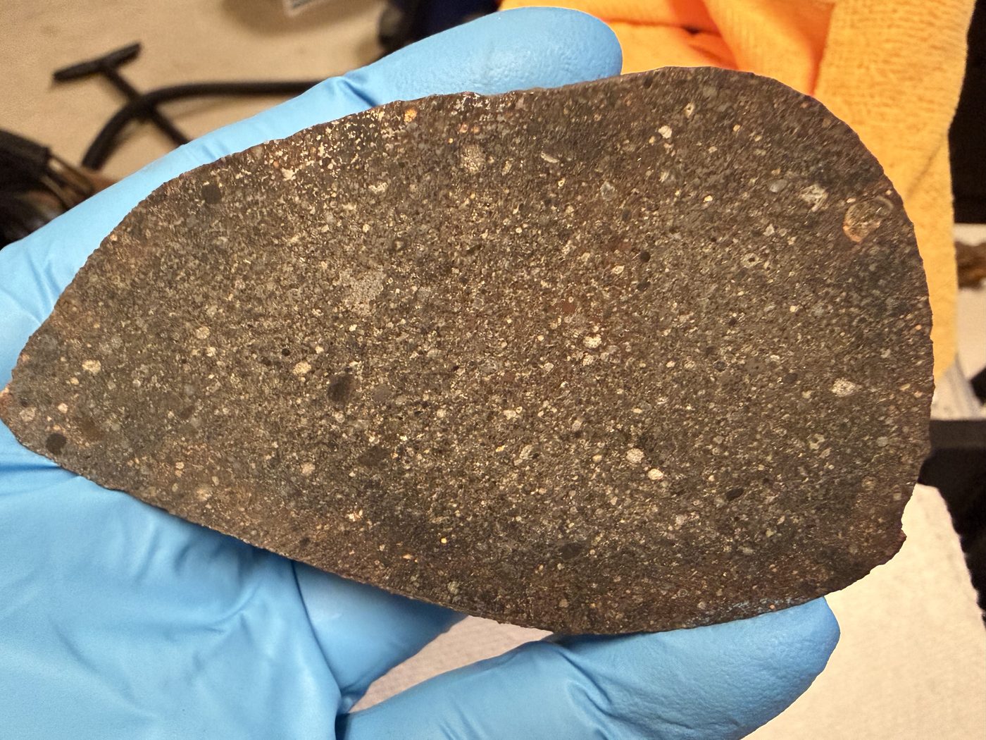 polished-face-gloved: Gloved hand holding the polished face of NWA 18205 H3 chondrite endcut