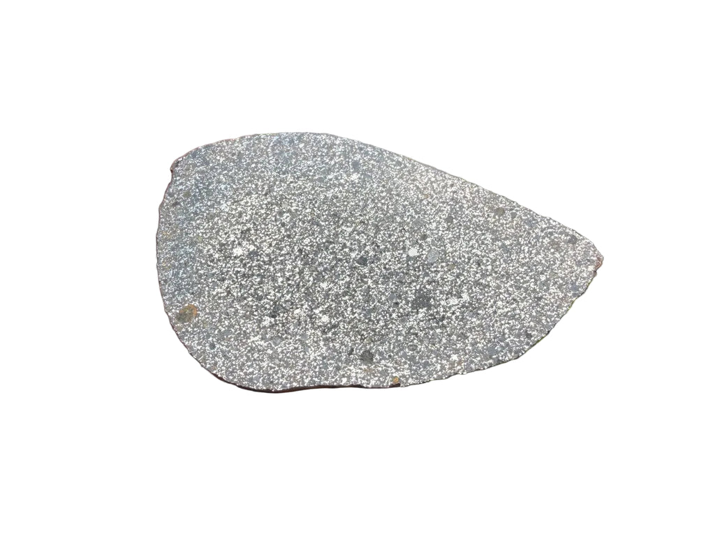 NWA 18205 H3 ordinary chondrite teardrop endcut held in hand for scale