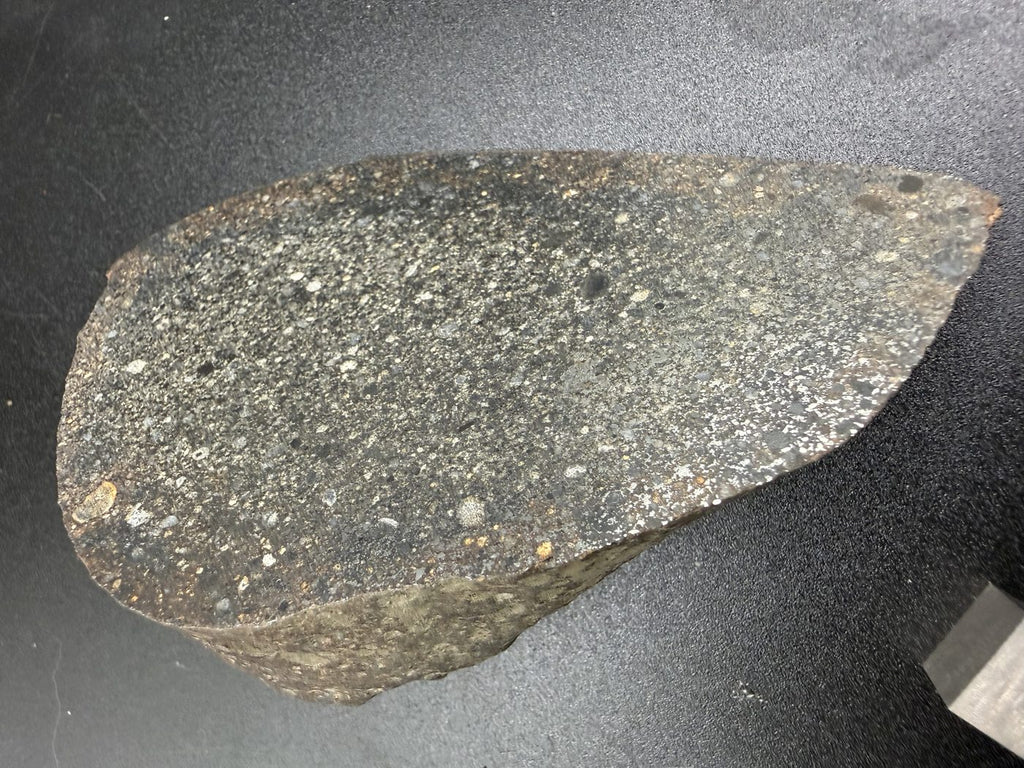 polished-face-profile: NWA 18205 H3 chondrite endcut at an angle showing the polished face and its thickness