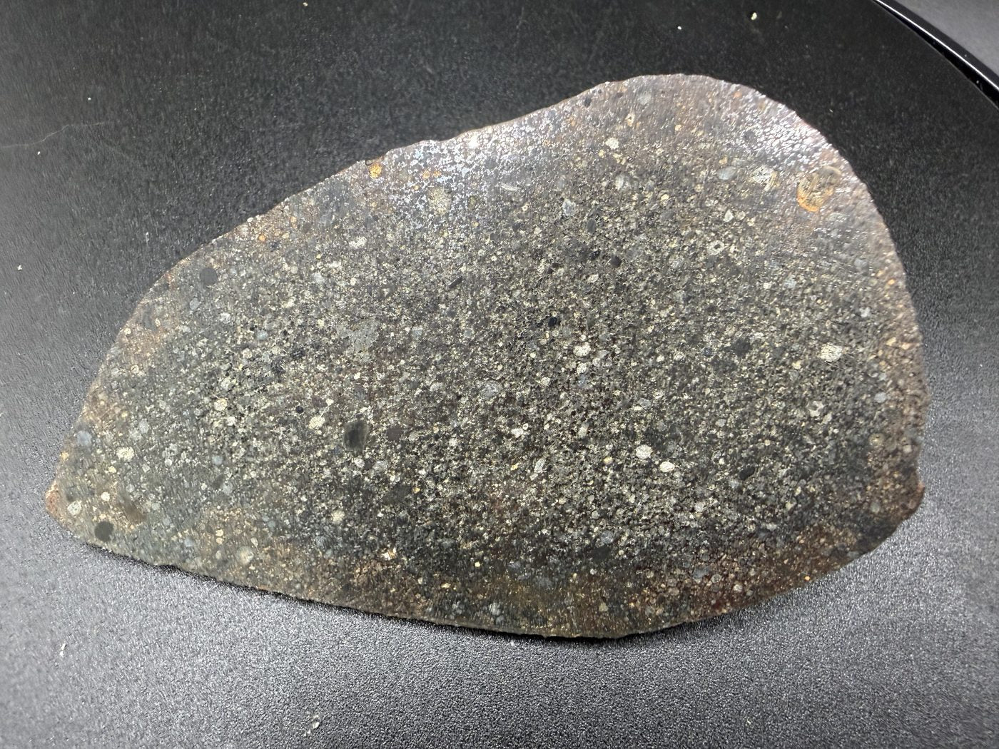 polished-face: Polished cut face of NWA 18205 H3 ordinary chondrite endcut with reflective FeNi metal
