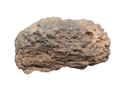 Display photo of NWA 18211 Lunar Meteorite showing complete varnished exterior of main mass with Treasure Coast Meteorite Co scale card, 2576.00g