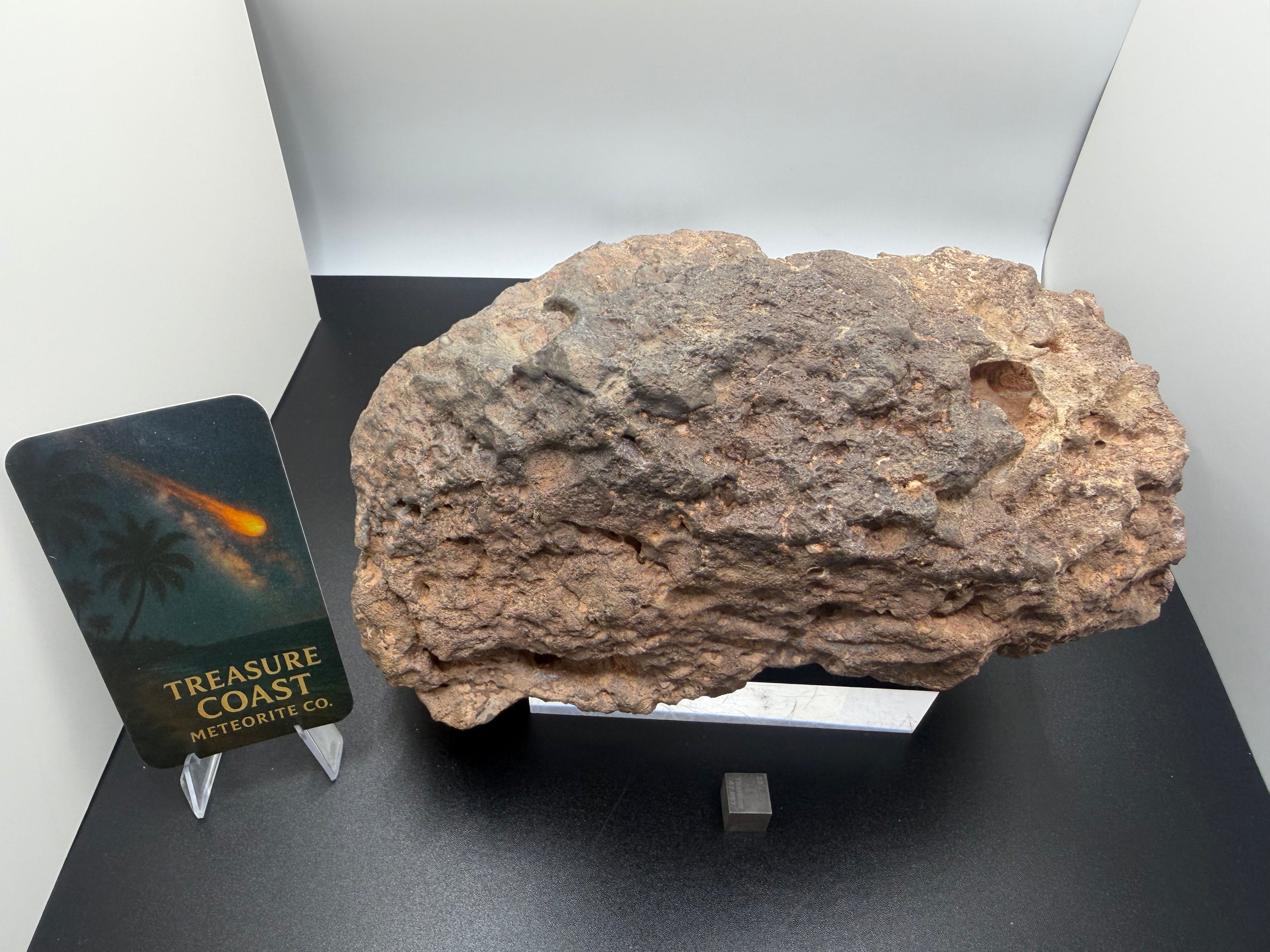 NWA 18211 lunar meteorite on display stand, complete individual side profile