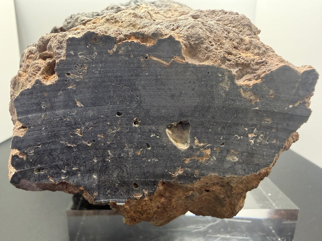 NWA 18211 lunar meteorite 2576.00g -- complete individual profile showing classification cut face and preserved natural surfa