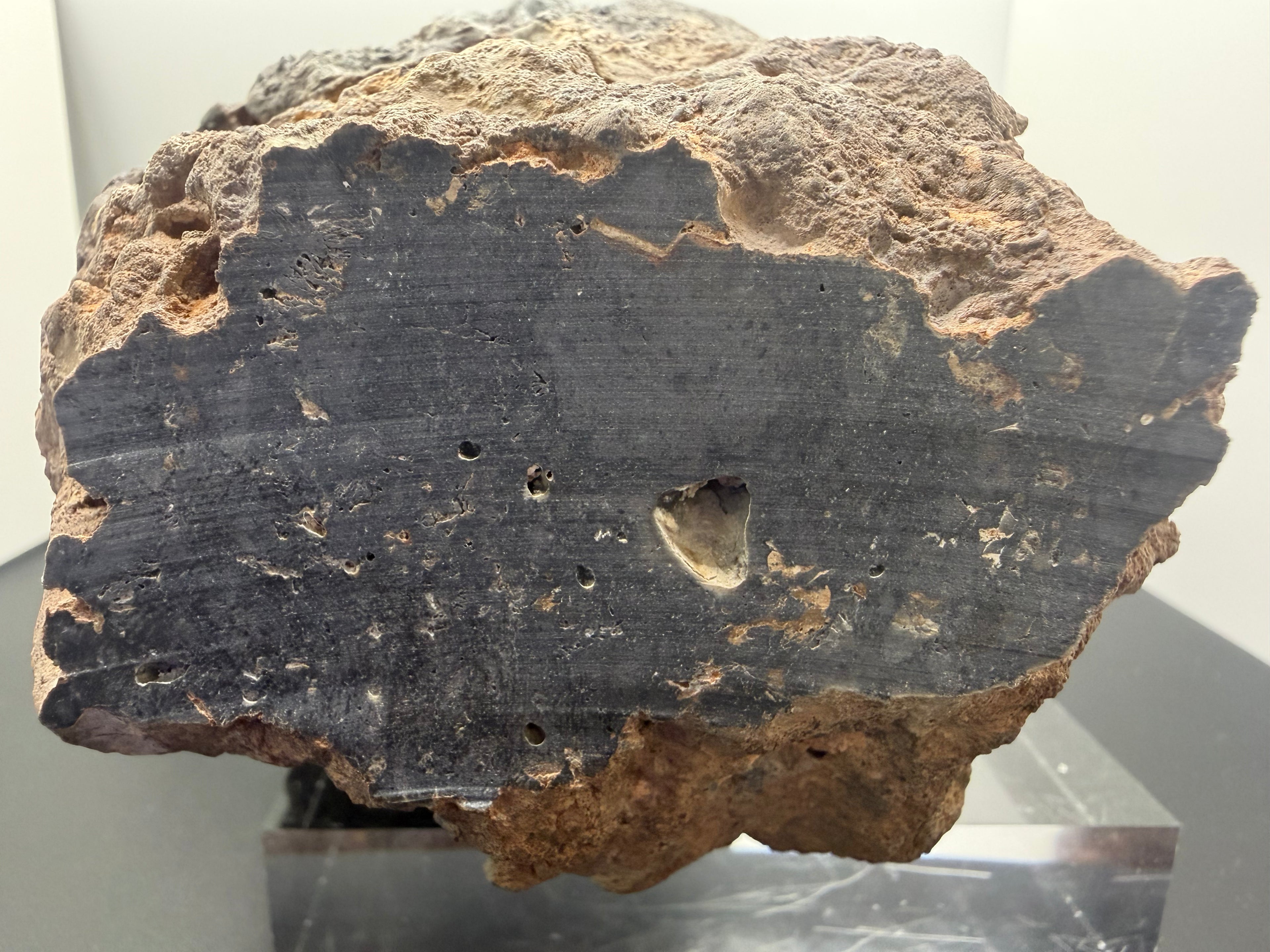 NWA 18211 lunar meteorite 2576.00g -- complete individual profile showing classification cut face and preserved natural surfa