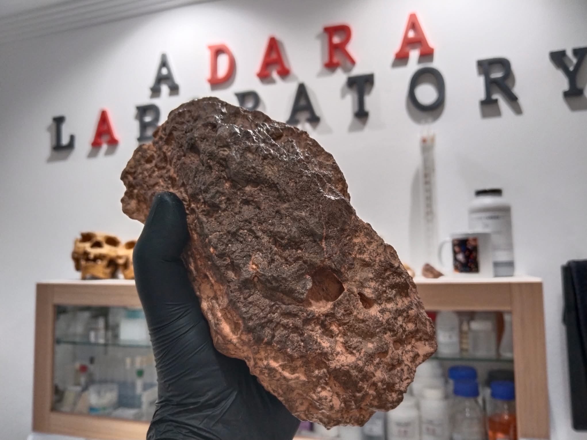 NWA 18211 lunar meteorite complete individual, 2.58 kg, hand-held scale photo