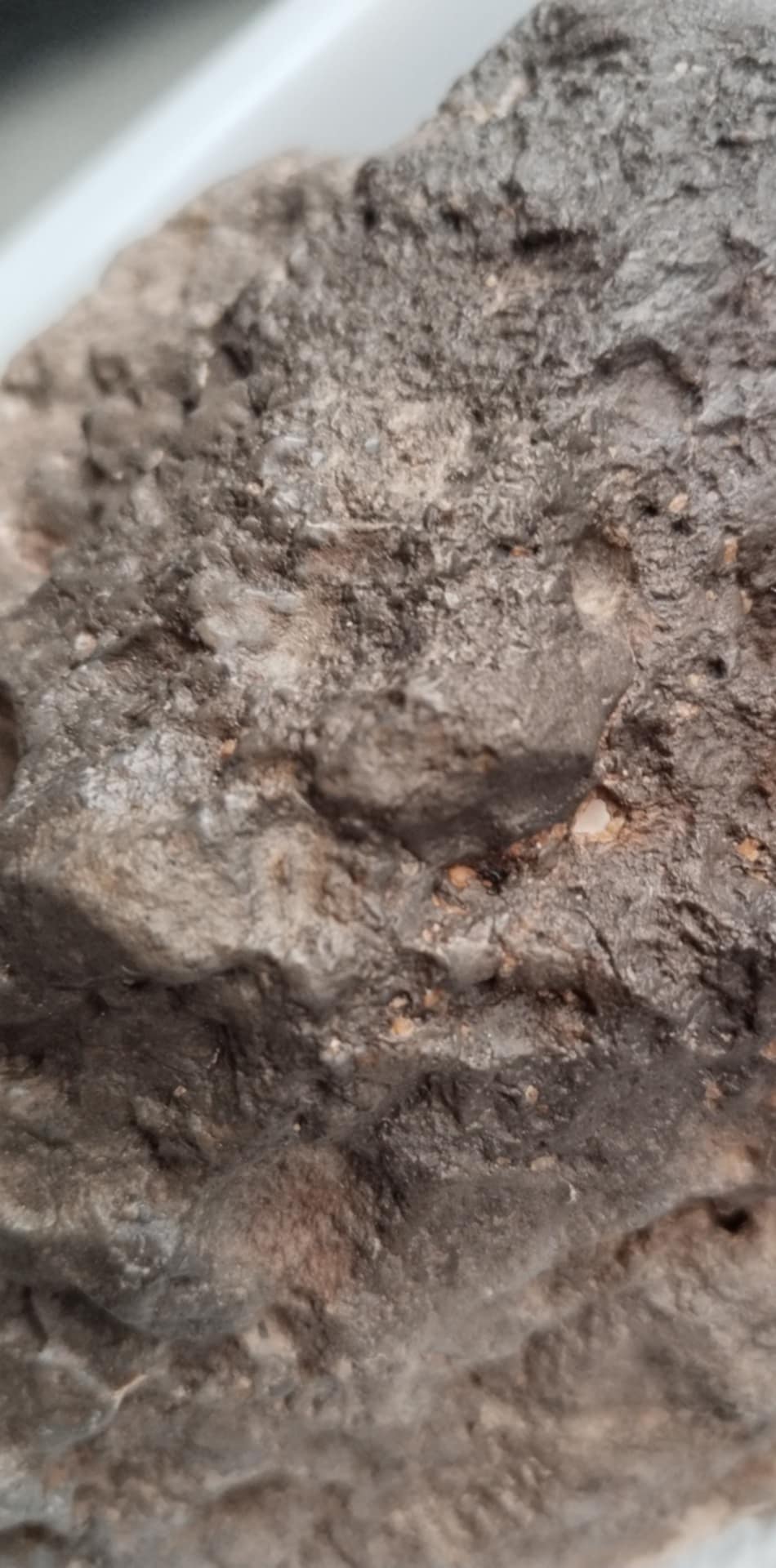 Macro close-up of NWA 18211 lunar meteorite melt breccia texture and clasts