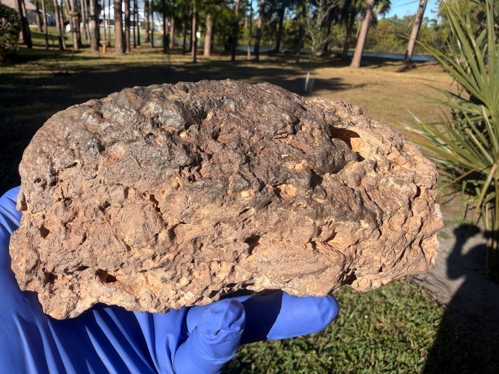 NWA 18211 lunar meteorite 2576.00g -- detailed view of plagioclase-rich clasts and olivine-bearing troctolitic composition