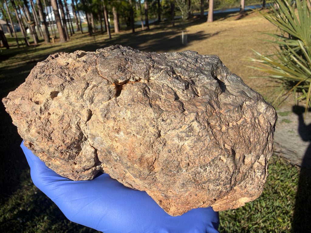 NWA 18211 lunar meteorite 2576.00g -- exterior fusion crust boundary and transition to unmelted interior breccia texture