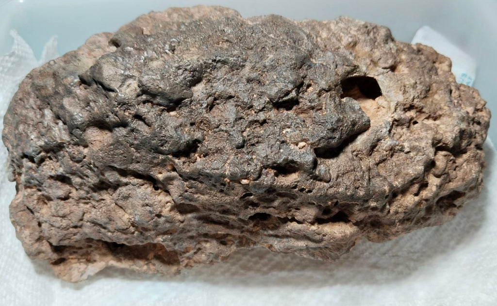 NWA 18211 lunar meteorite 2576.00g -- brecciated clast structure showing angular feldspathic fragments in shock-melted matrix