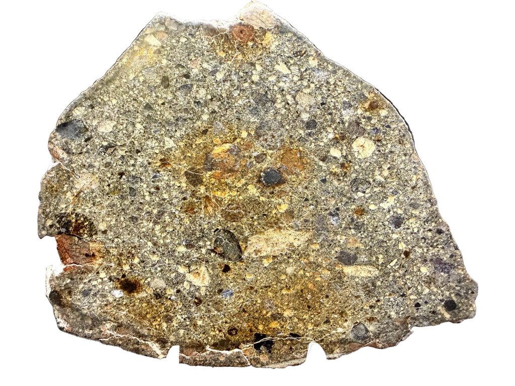 NWA 18448 polished cut face showing brecciated eucrite texture with feldspathic clasts and pyroxene fragments in clastic matrix