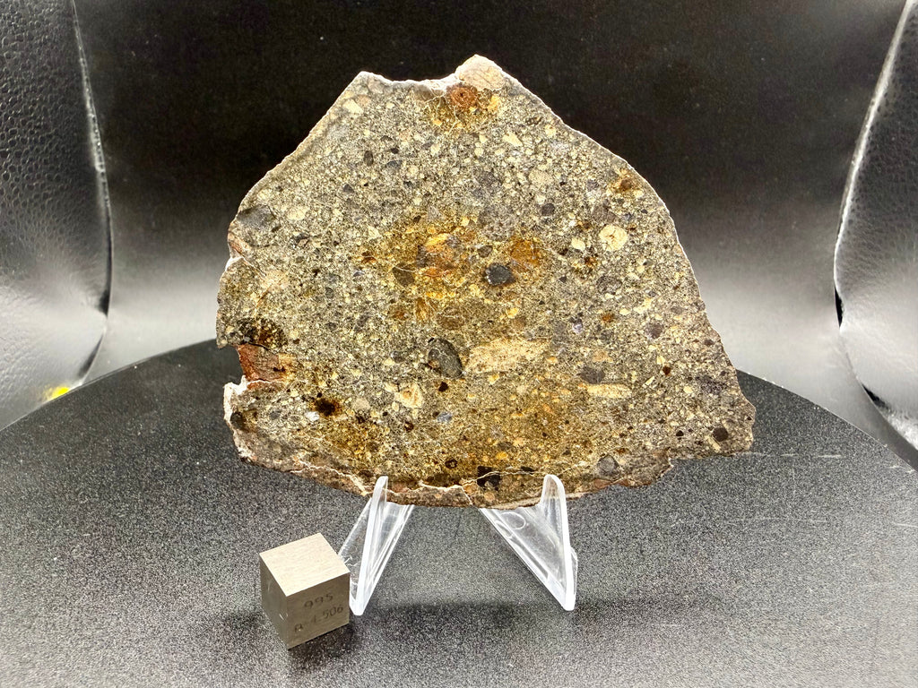 NWA 18448 brecciated eucrite full slice on acrylic stand with one-centimeter tungsten cube for scale