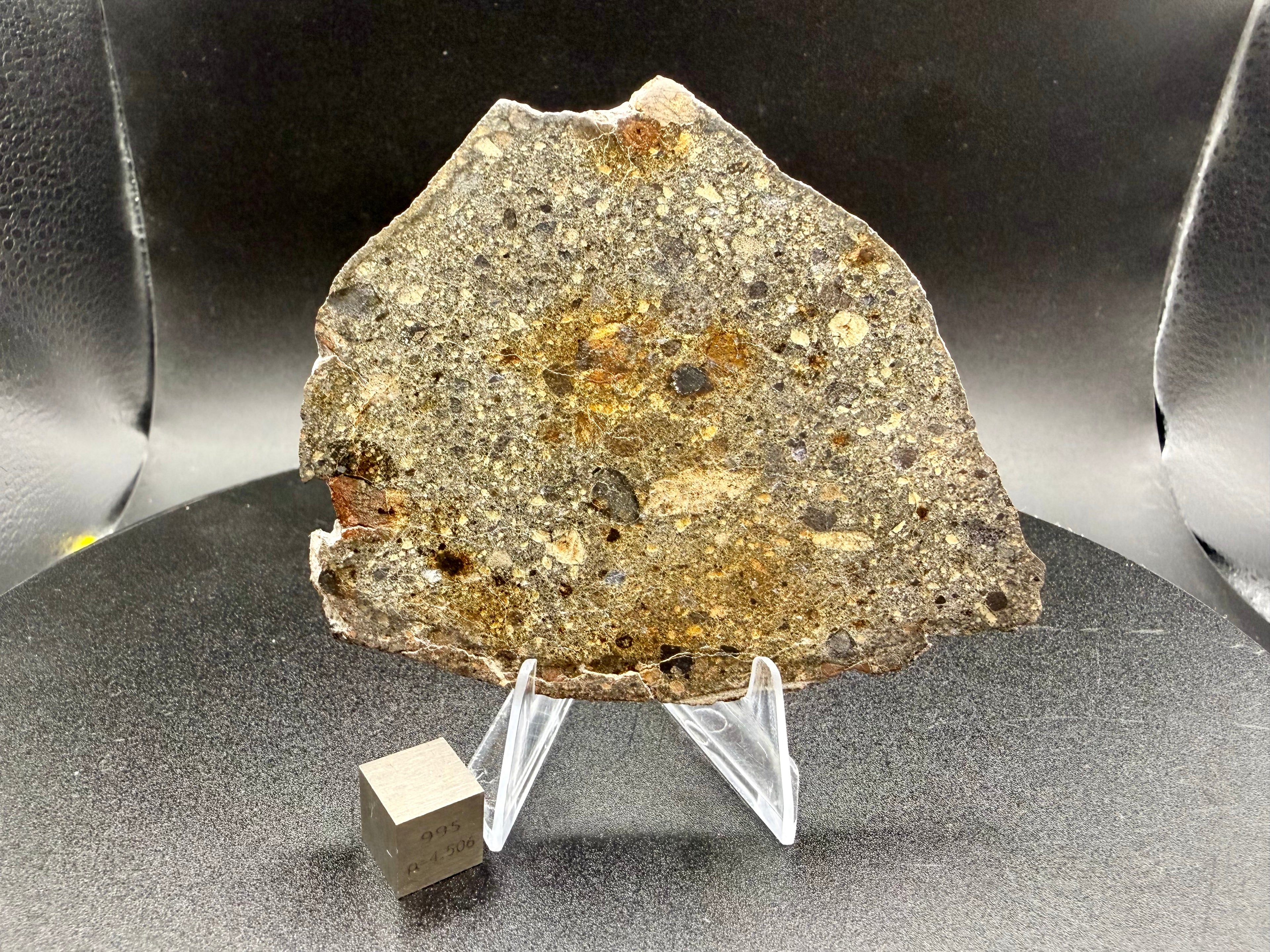 NWA 18448 brecciated eucrite full slice on acrylic stand with one-centimeter tungsten cube for scale