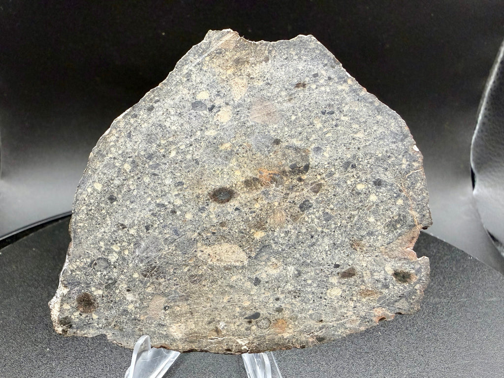 Reverse cut face of NWA 18448 34.20-gram full slice showing brecciated fabric continuing through the specimen