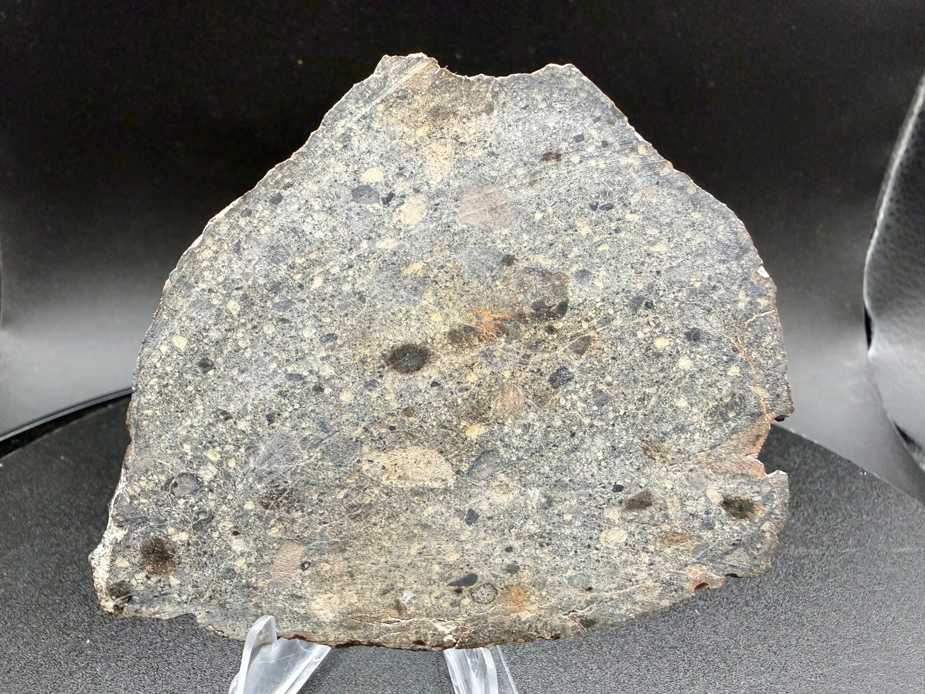 Reverse cut face of NWA 18448 34.20-gram full slice showing brecciated fabric continuing through the specimen