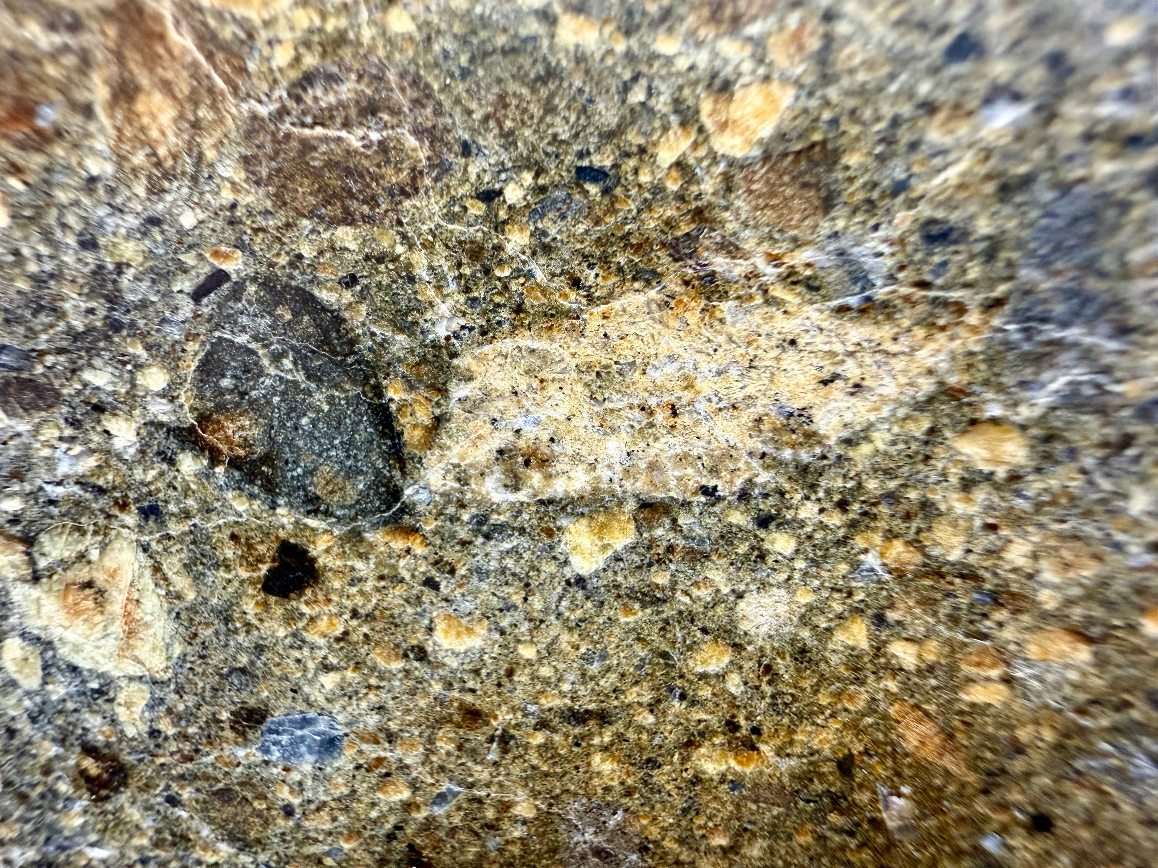 Close-up of a dark angular pyroxene-rich clast set within the fine-grained clastic matrix of NWA 18448 eucrite