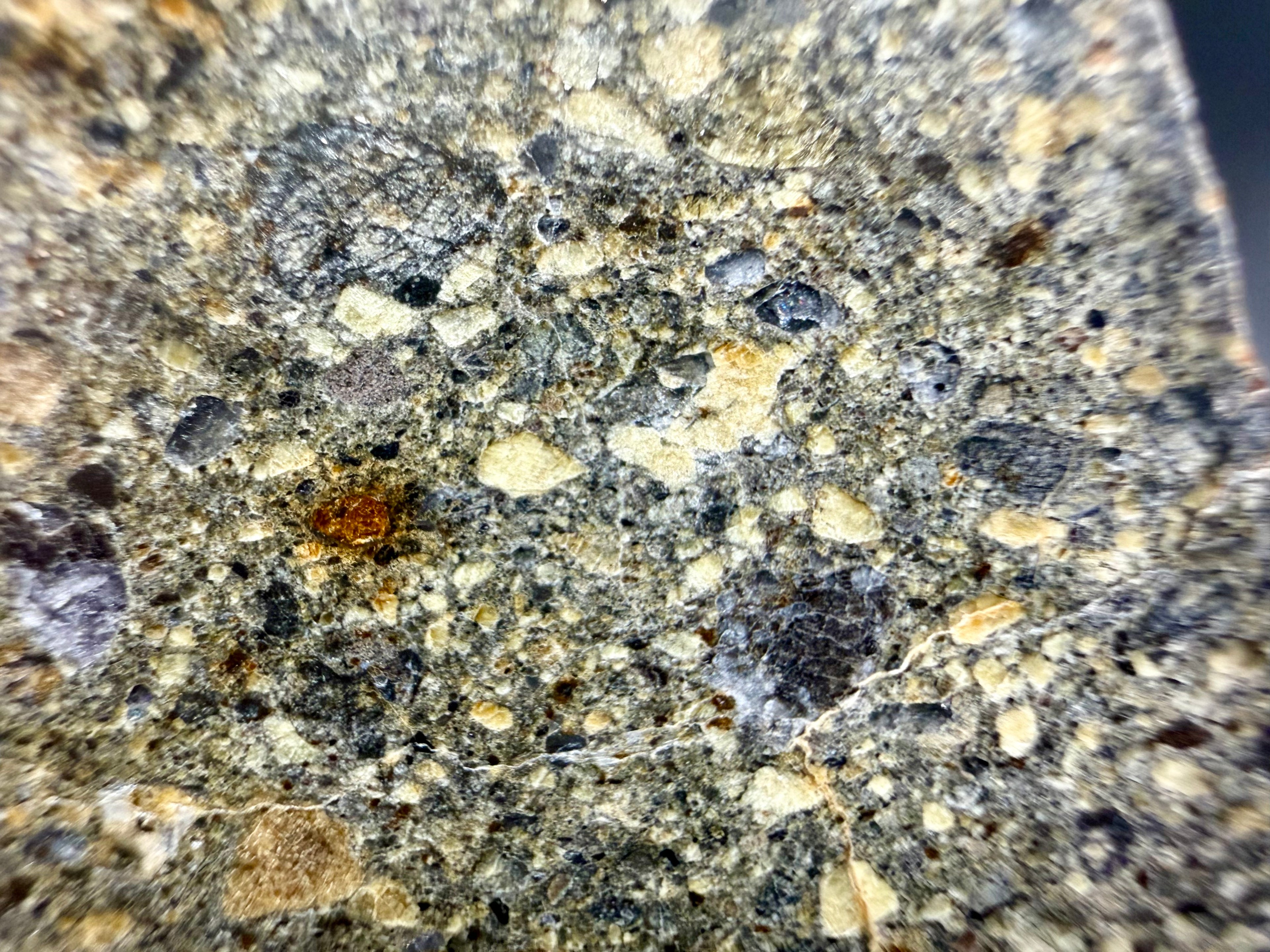 Macro detail of NWA 18448 showing intermixed lithic clasts, mineral fragments, and fine-grained brecciated matrix