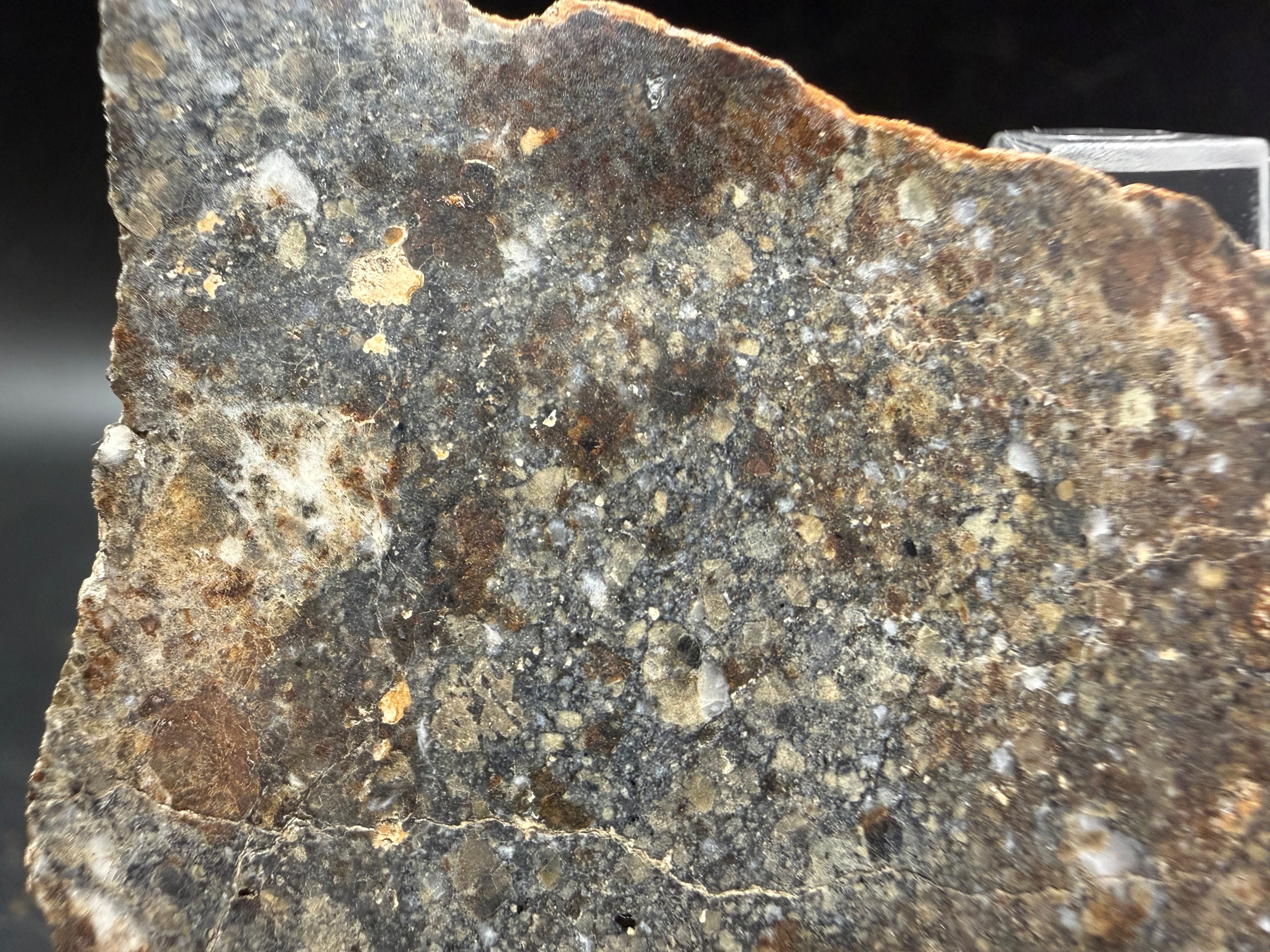 Close-up of brecciated texture in NWA 18452 eucrite meteorite slice