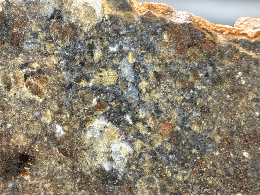 Mineral clasts within NWA 18452 eucrite breccia meteorite slice