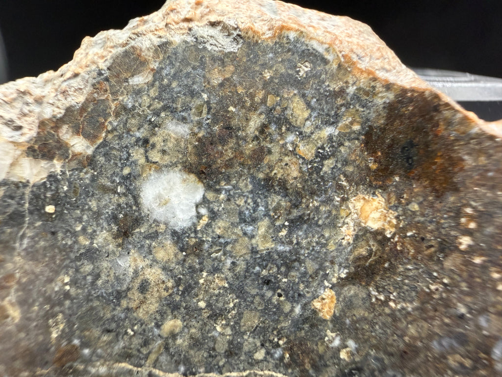 Large light colored clast within NWA 18452 eucrite breccia meteorite slice