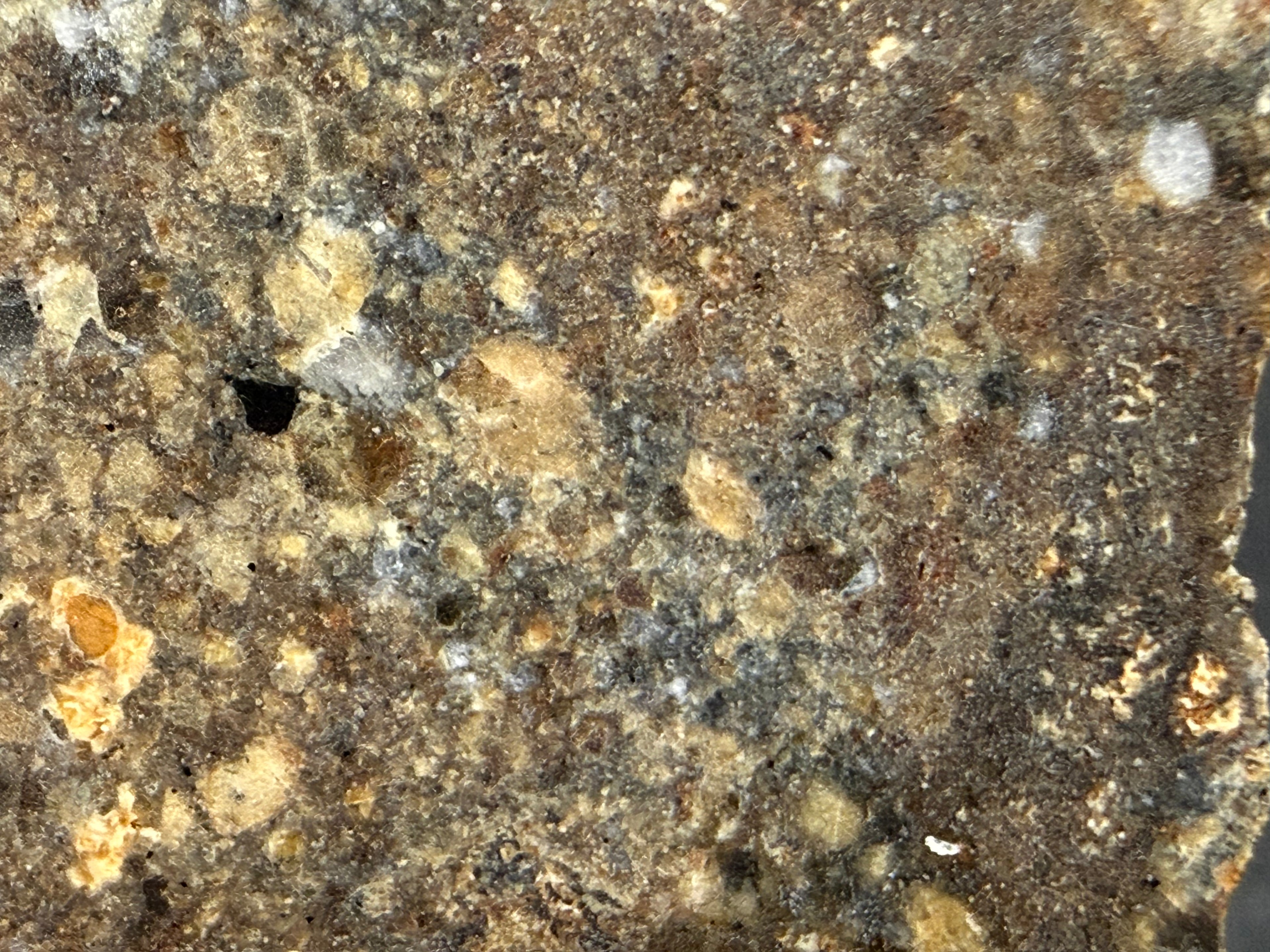 Fine-grained matrix and mineral fragments in NWA 18452 eucrite meteorite slice