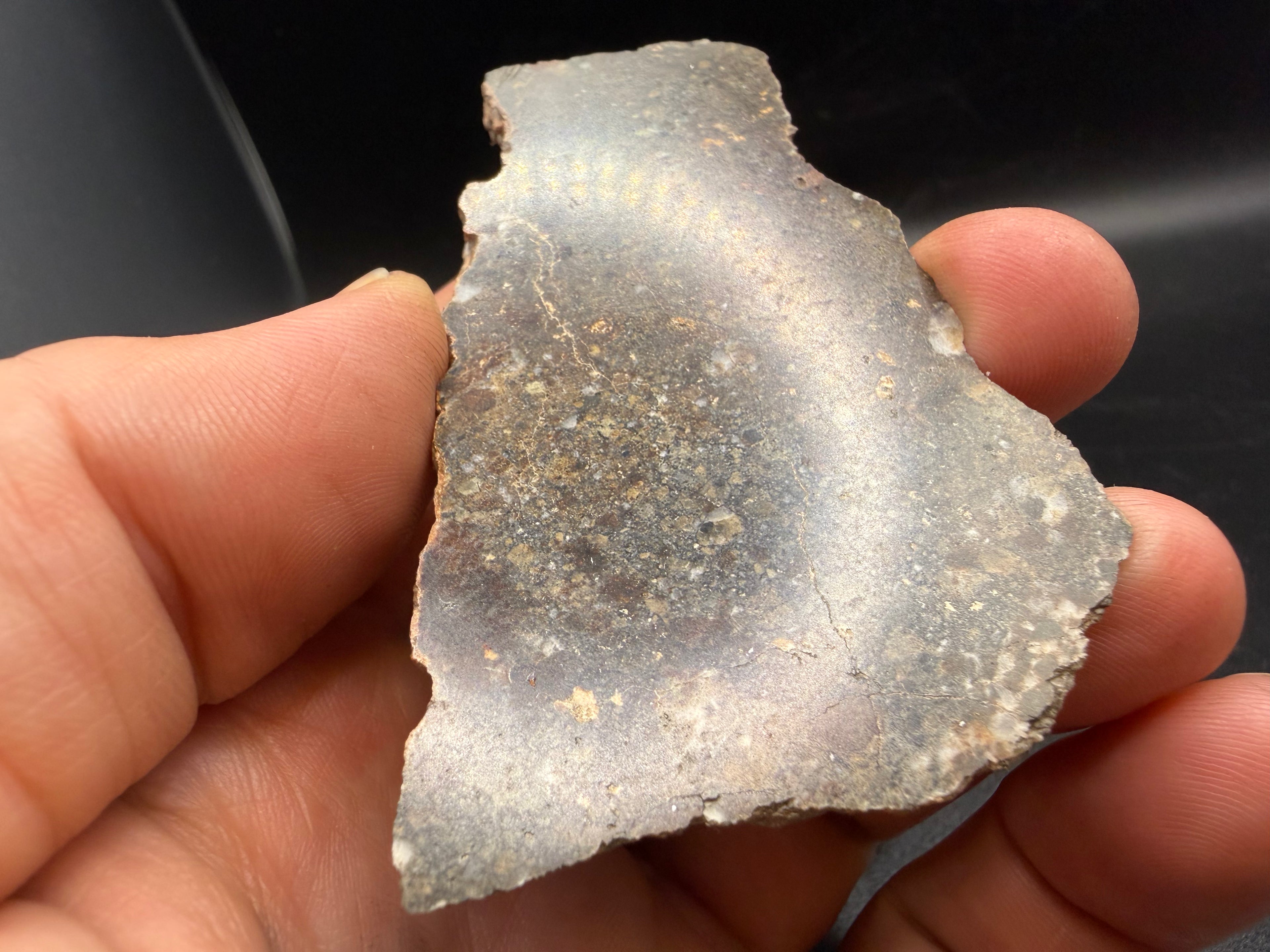 NWA 18452 eucrite breccia meteorite slice in hand showing size and polished surface