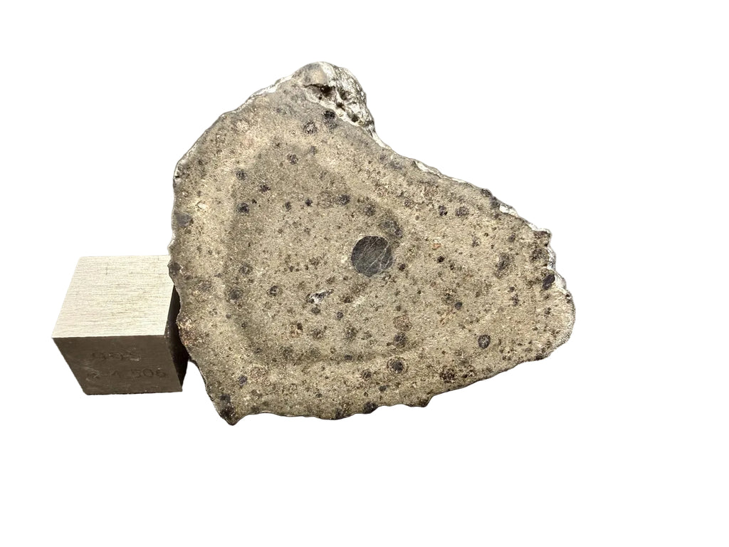NWA 18496 CK6 carbonaceous chondrite 34.78g end cut, sawn interior face shown with scale cube