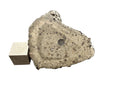 NWA 18496 CK6 carbonaceous chondrite 34.78g end cut, sawn interior face shown with scale cube