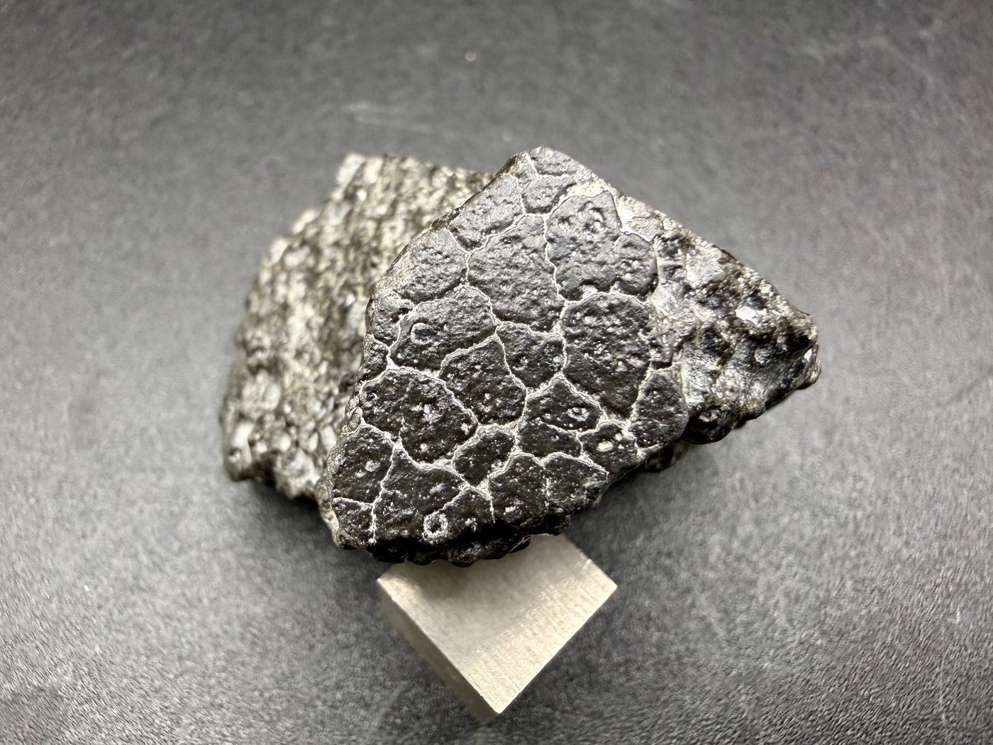 NWA 18496 CK6 carbonaceous chondrite, fusion crusted exterior face with polygonal cracking