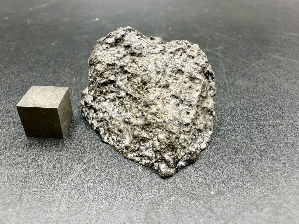 NWA 18496 CK6 carbonaceous chondrite, natural exterior surface shown with scale cube