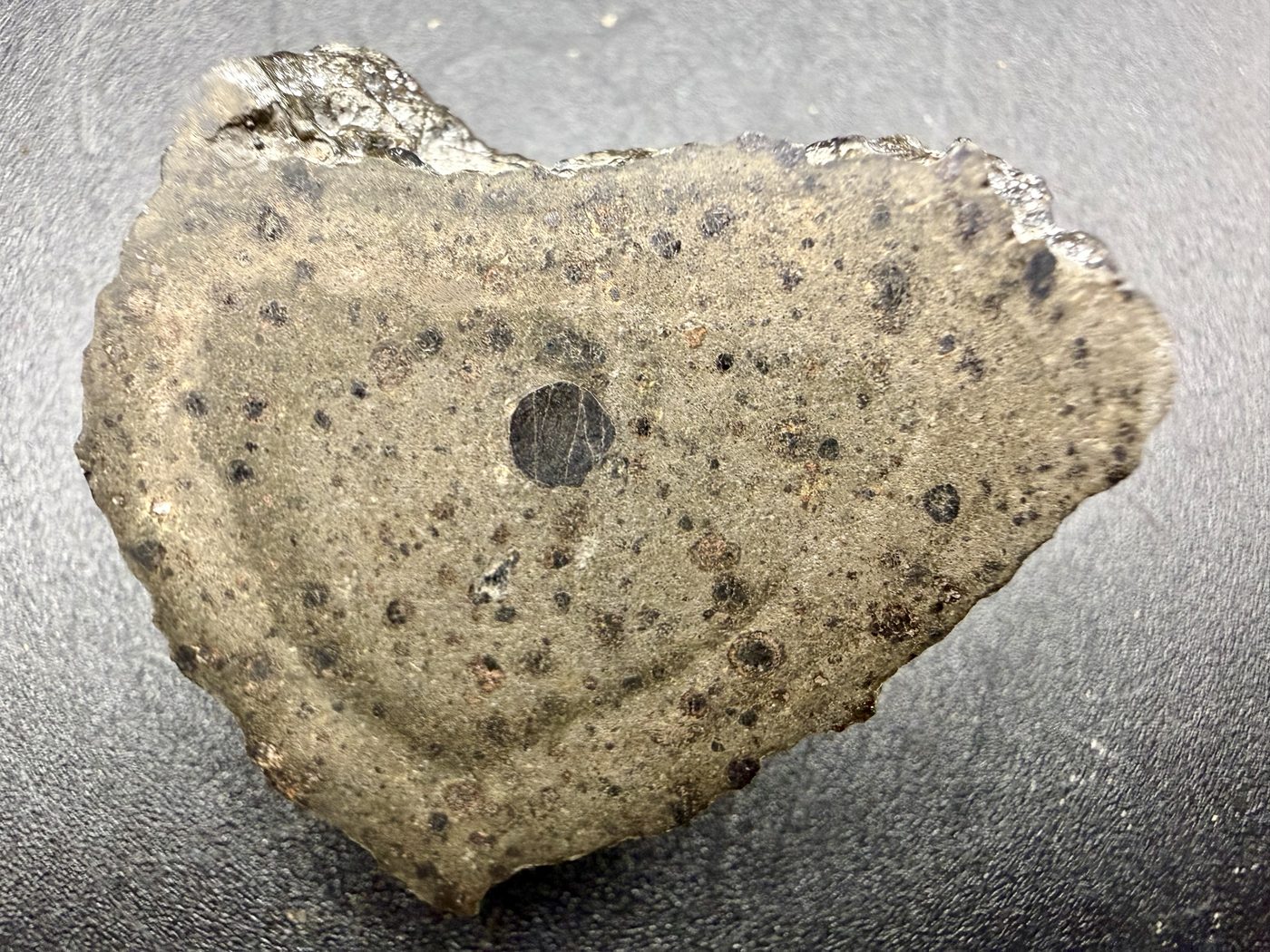 NWA 18496 CK6 carbonaceous chondrite end cut, sawn interior face with dark inclusions