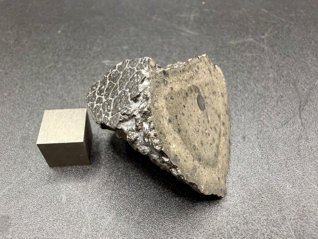 NWA 18496 CK6 carbonaceous chondrite end cut, angled view of cut face and fusion crusted edge with scale cube