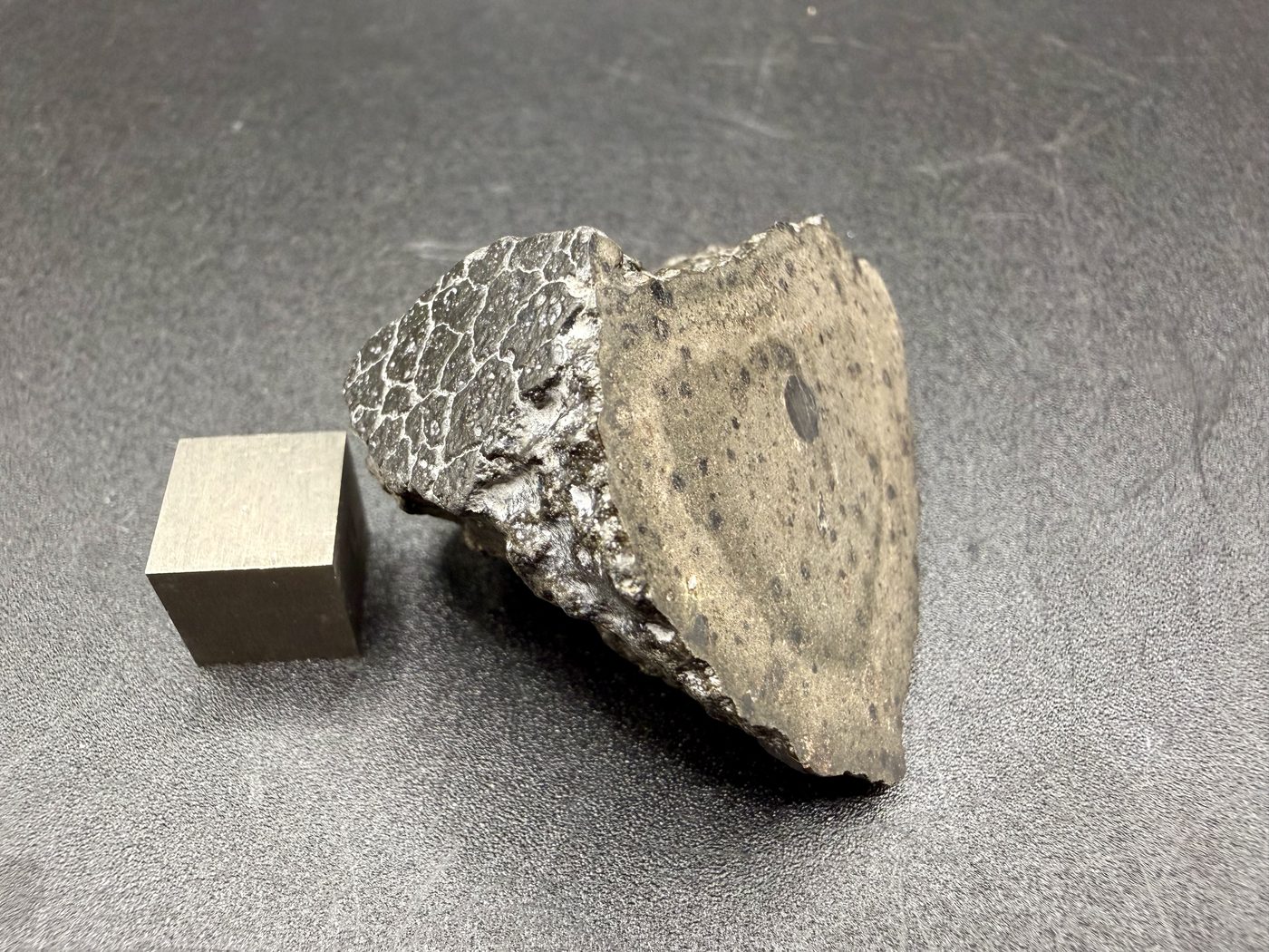 NWA 18496 CK6 carbonaceous chondrite end cut, angled view of cut face and fusion crusted edge with scale cube