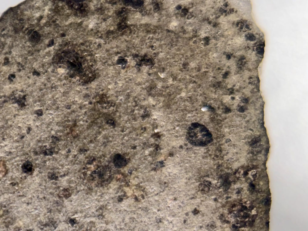NWA 18496 CK6 carbonaceous chondrite, close-up of cut interior face with dark inclusions