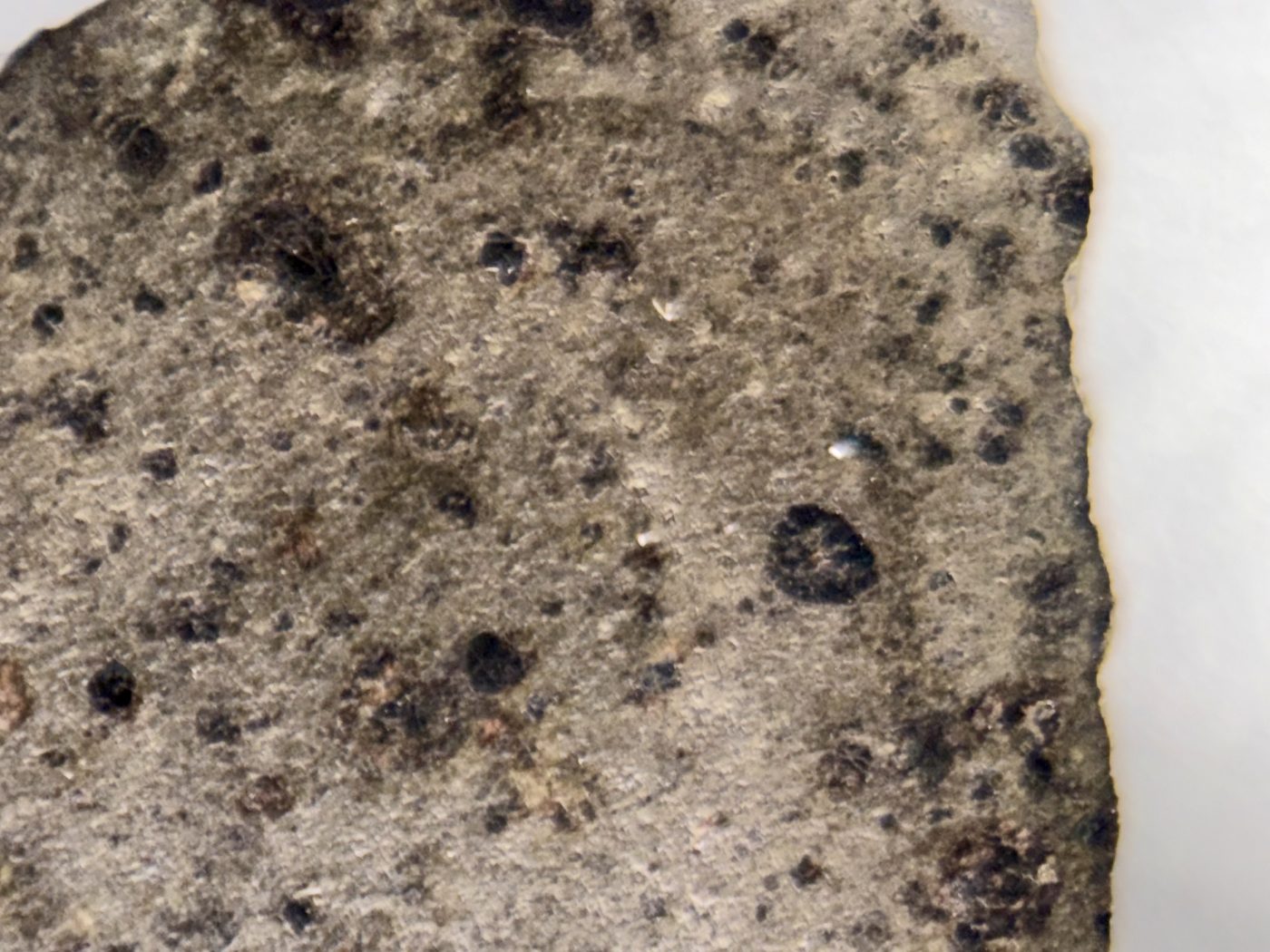NWA 18496 CK6 carbonaceous chondrite, close-up of cut interior face with dark inclusions