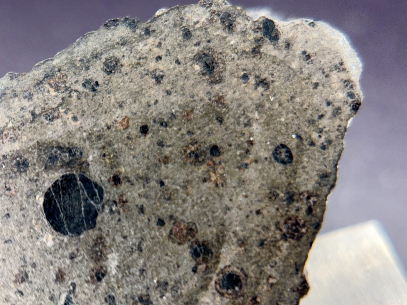 NWA 18496 CK6 carbonaceous chondrite, macro detail of cut interior face