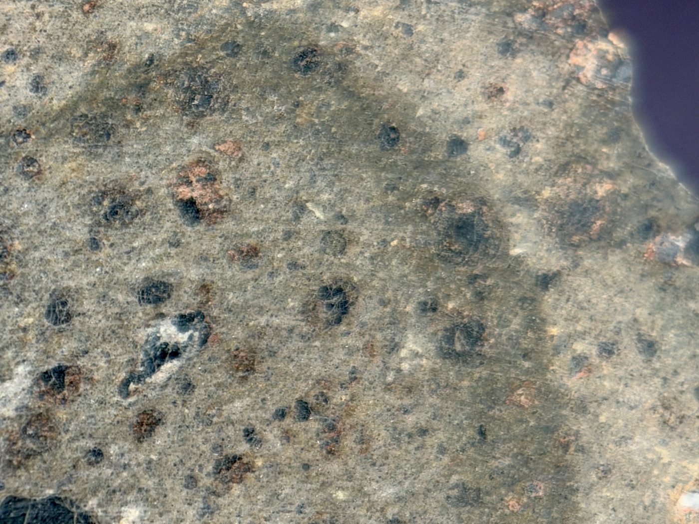 NWA 18496 CK6 carbonaceous chondrite, macro detail of interior matrix