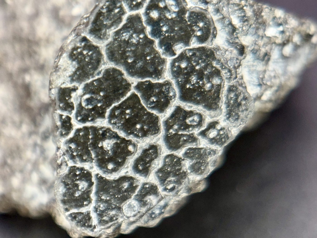 NWA 18496 CK6 carbonaceous chondrite, macro of fusion crusted exterior surface