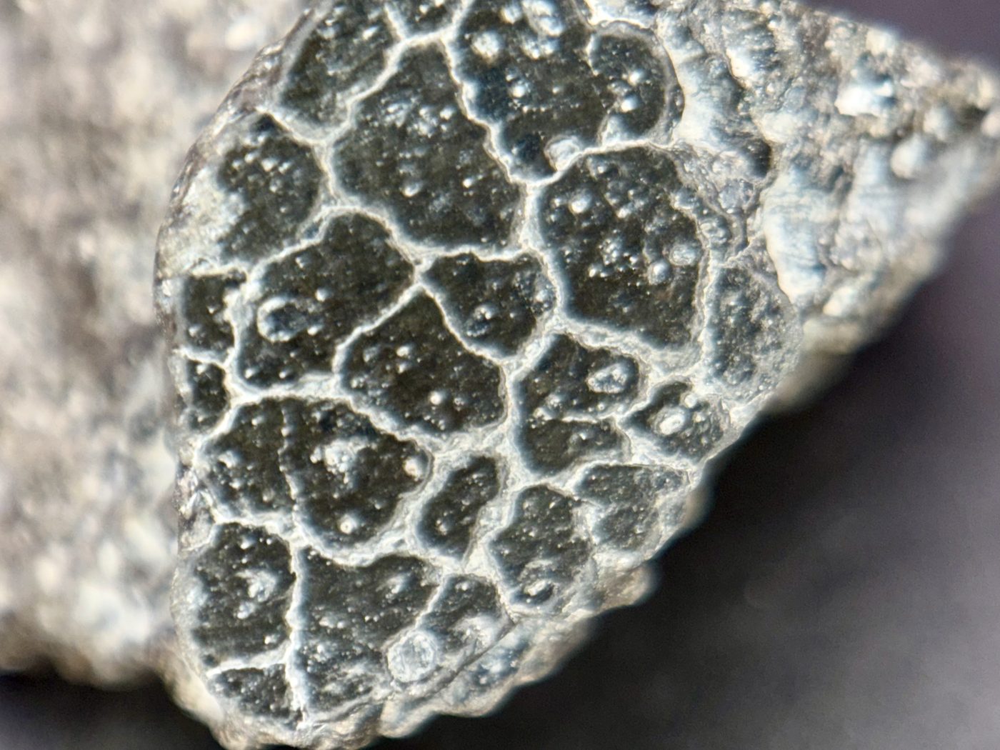 NWA 18496 CK6 carbonaceous chondrite, macro of fusion crusted exterior surface