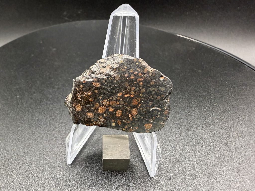 NWA 18497 CVox3 carbonaceous chondrite, 15.64 gram polished end cut