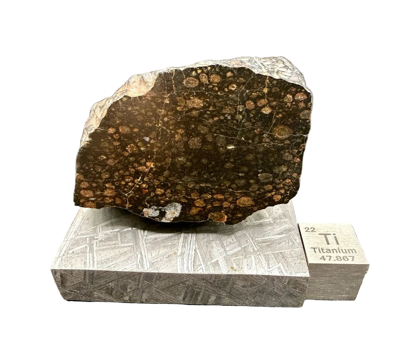 NWA 18497 CVox3 carbonaceous chondrite, 71.00 gram end cut with polished face showing chondrules in a dark matrix